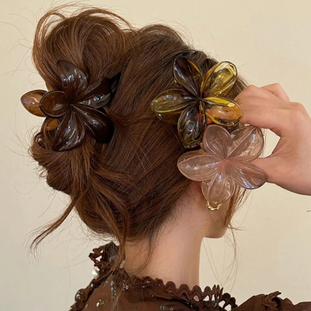 Pinzas de Pelo de Plástico Lig - Hair Claw Clip Set reseña y precio