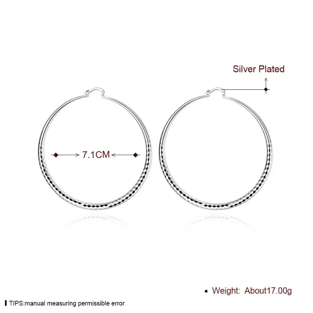 Pendientes de Plata de Ley 925 - Statement Earrings Oversized reseña y precio